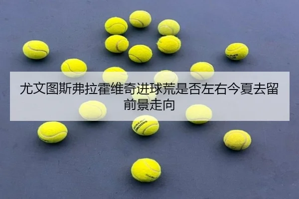 尤文图斯弗拉霍维奇进球荒是否左右今夏去留前景走向